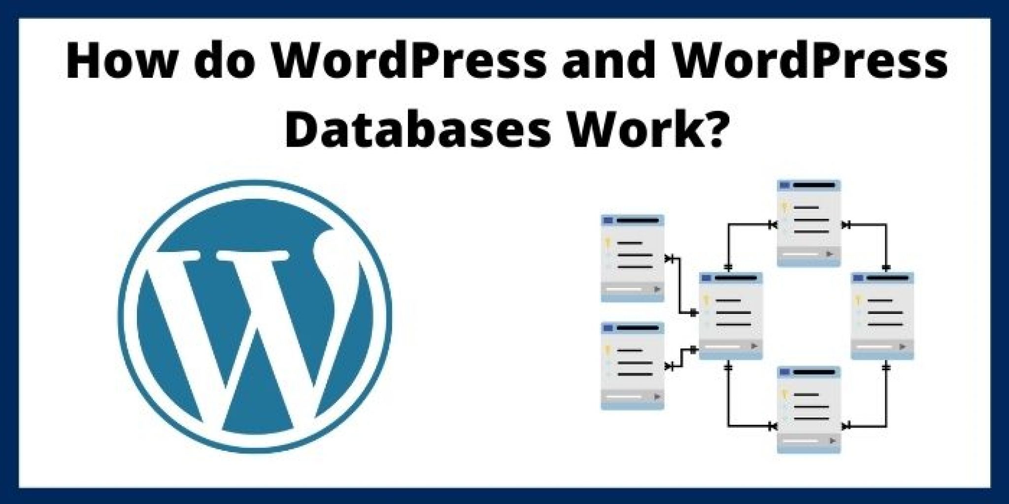 where-are-wordpress-posts-pages-stored-2024-wordpress