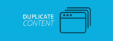 Getting Rid of Duplicate Content Issues